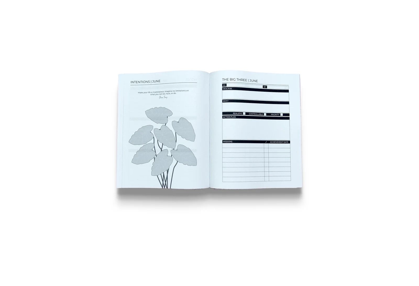 Elefan monthly intentions and The Big Three action-planning spread